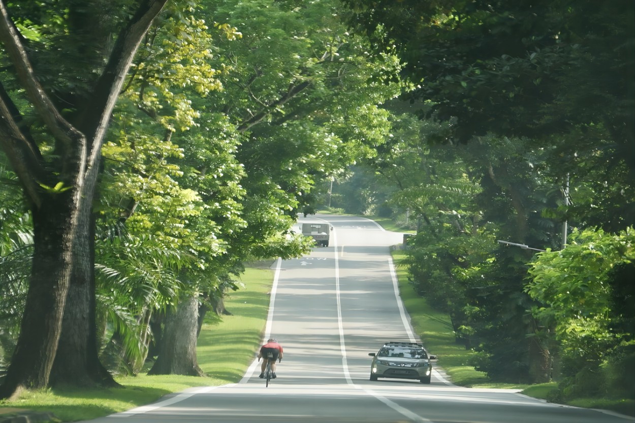 fa脚垫，你的最佳伴侣